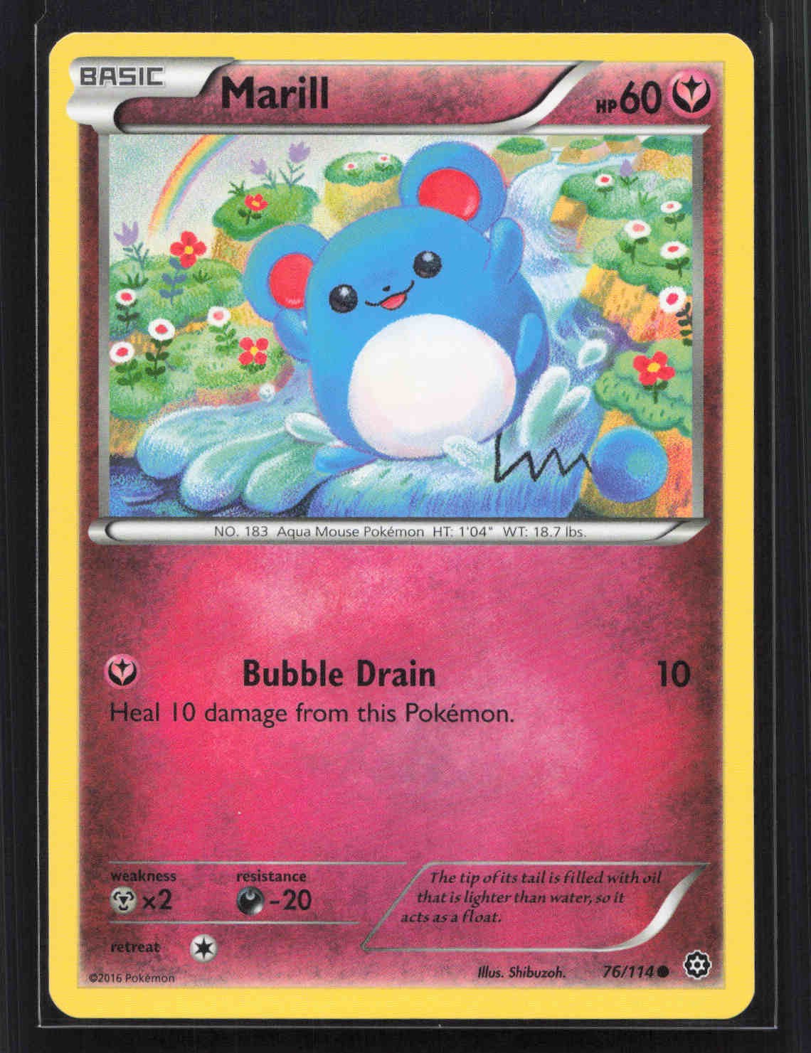 Marill Common XY - Steam Siege 76/114 NM