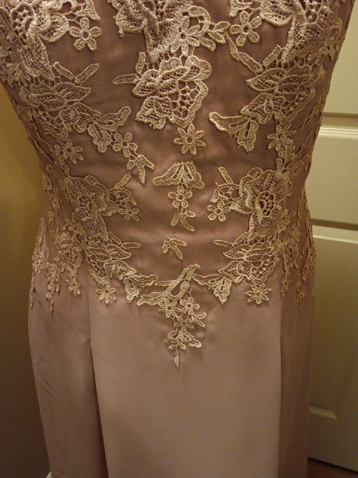 Dusty Rose Lace Chiffon Cocktail Dress MOTB JJsHouse Size 12 Sleeveless