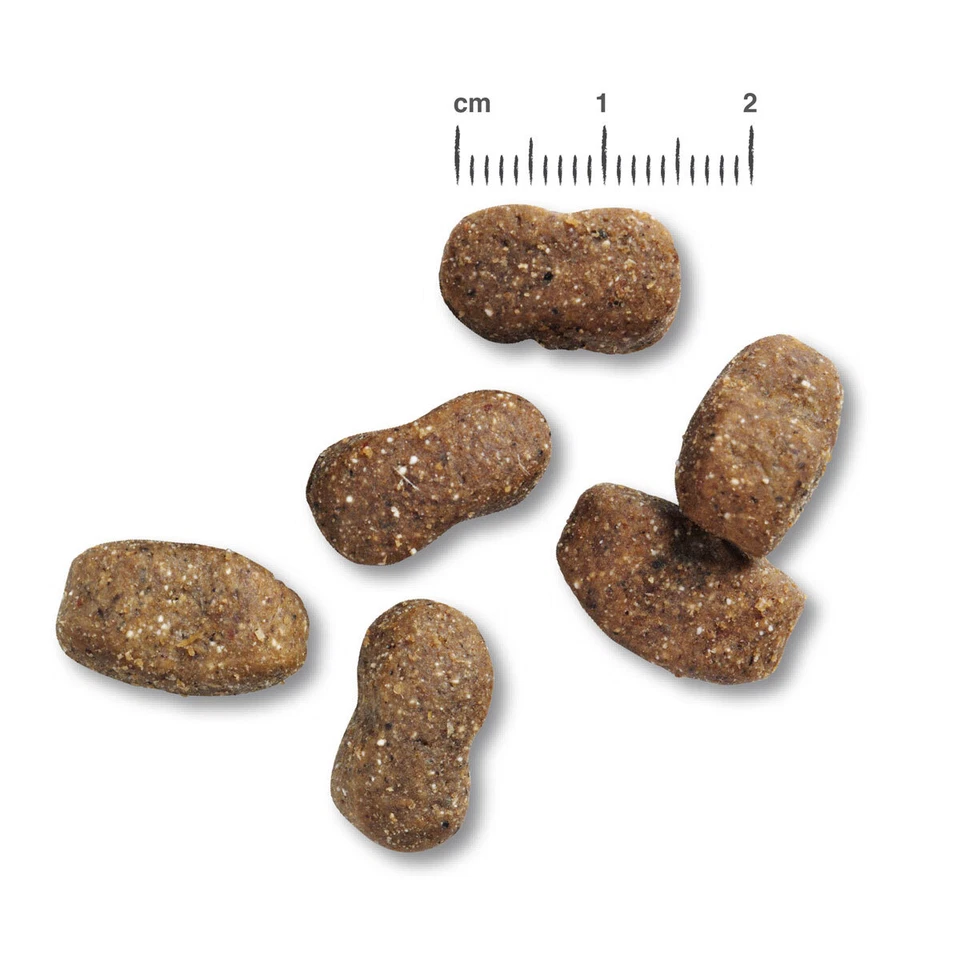 2 x 12,5 kg Belcando Adult Lamb & Rice Trockenfutter Hundefutter Lamm und Reis - Bild 2 von 3