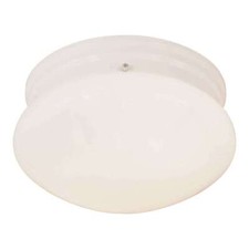 Forte Lighting 2 Light Mushroom Flush Mount i...