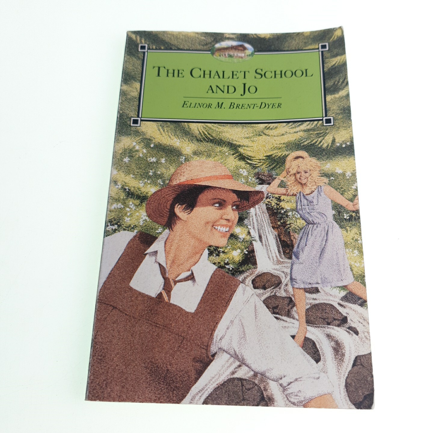 The Chalet School and Jo Elinor M Brent Dyer 1992 Paperback Book
