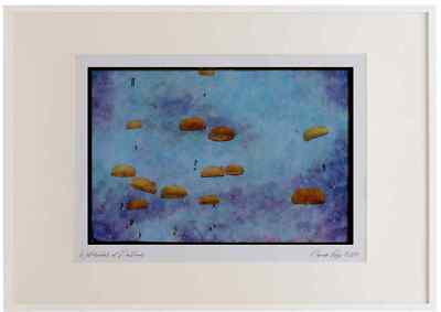 034022 Lockheed CC 130E Hercules _ Canadian Armed Forces Watercolour Picture Fr