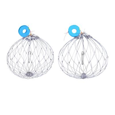 floh halsband katze Zecken-& Flohhalsband