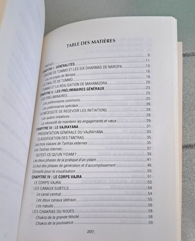 Tummo, l'Embrasement de l'Ardente de Mélisende de Ferrières Livre