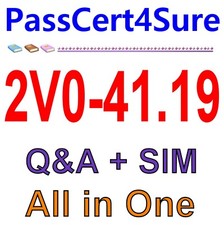 VMware Professional NSX-T Data Center 2.4 2V0-41.19 Exam Q A SIM