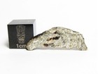 Dhofar 007 Eucrite Meteorite 0.58g Shockingly Sweet Slice!  — photo 1