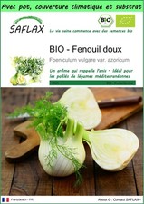 SAFLAX - Garden to go - BIO - Fenouil doux - 100 Graines