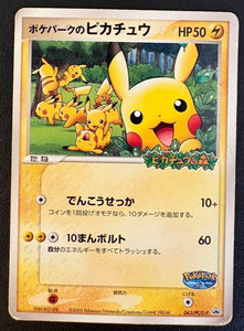 Pokepark Card | eBay