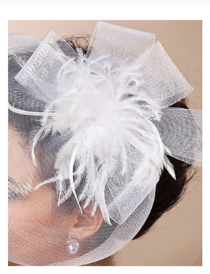 Bridal Sheer Feather Birdcage Veil Mesh Netted Hat 