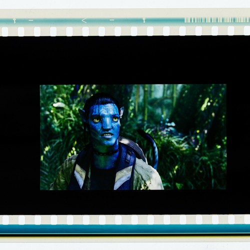 Celda de película Avatar IMAX 15/70 mm - Imagen 5 de 12