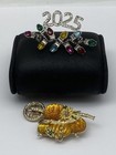 Anne Klein assorted 2025 New Years Pumpkin Brooch Bundle 2 pcs 28.4g — photo 1