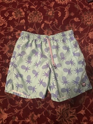 Tom Teddy Swim Trunks Large Green Blue Pineapple Print Liner Stretch Summer