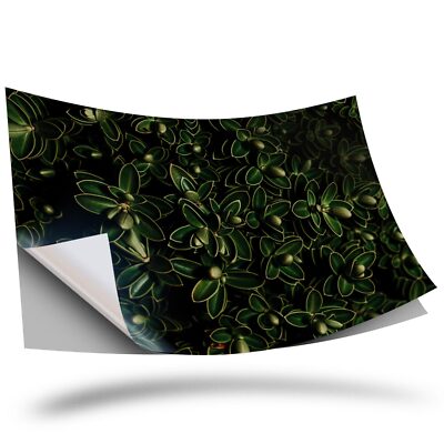 1 x Vinyl Aufkleber A3 - grünes Blatt Pflanze Pflanze Blätter #45226