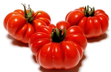 100 Heirloom Rosso Sicilian Tomato Seeds - 14+ oz Unique Shaped Indeterminate