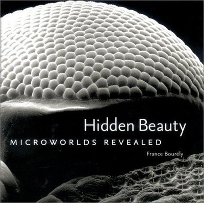 Hidden Beauty Microworlds Revealed by France Bourely Hardcover