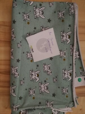 Jersey Stoff 1 Meter Sasoon Sternenhopser mint