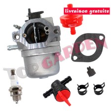 Carburateur avec Filtre pour Briggs & Stratton WALBRO LMT 5-4993 pièces moteur