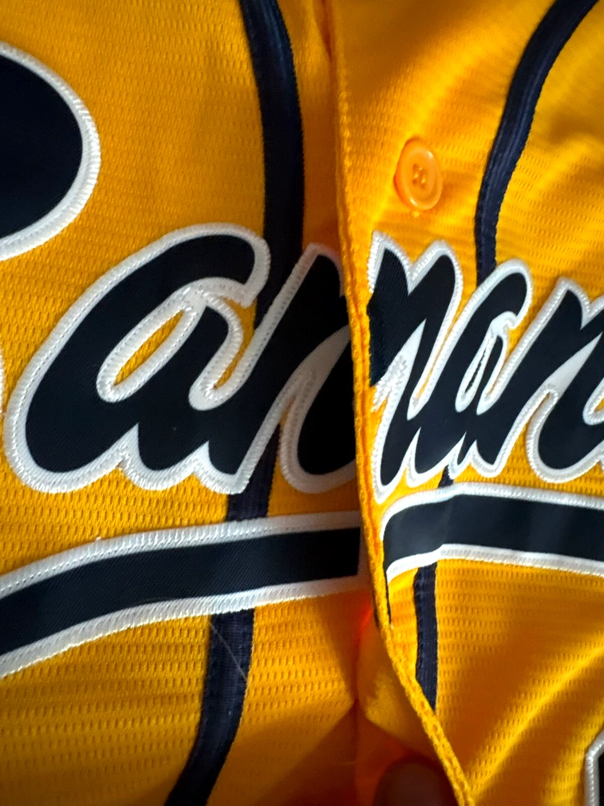 Custom Stitched Savannah Bananas Baseball Jersey