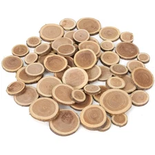 Natural Wood Slices for Crafts, 1.2"-2.5" Mini Assorted Unfinished Wood Tree ...