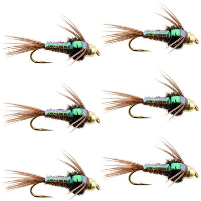 Bead Head Flash Back Pheasant Tail Nymph Fly Fishing Flies - 6 Flies Size 10