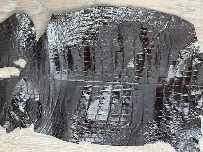 Low Grade Brown Caiman Crocodile belly Hide Leather Skin real alligator Croc 851