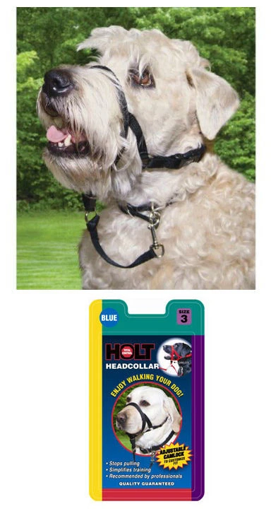 Holt dog store head collar