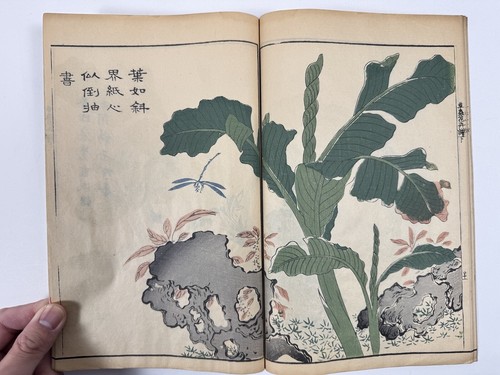 Japanese Woodblock Print Book “Kaishien Sochukakafu” all 4volume 芥子園画伝 - Picture 23 of 24