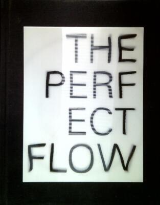 THE PERFECT FLOW AA.VV. Grohe AG 0