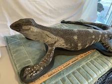 White Throat Monitor Lizard Taxidermy 4 foot 