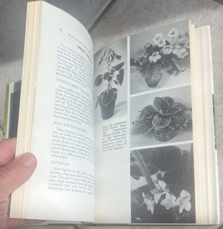 Picture 16 of 23
