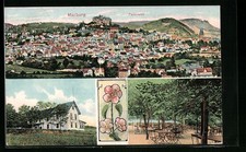 Marburg, Restaurant Hansenhaus by E. Herling, City View, Postcard 1909 