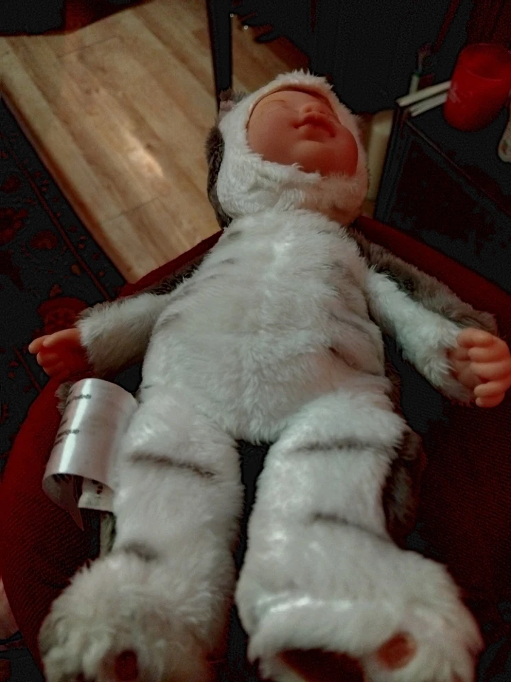 Muñeca Baby Kitten Anne Geddes 9 pulgadas Little Sister 2022 llena de frijoles nueva sin caja  Foto 4 de 4