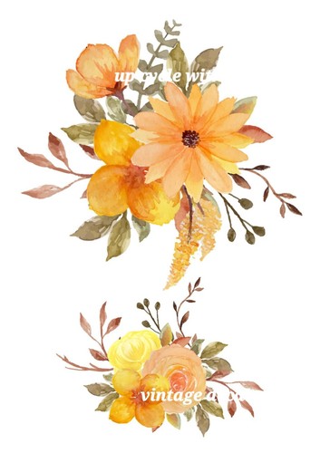 CALCOMANÍA DE TRANSFERENCIA DE PARED/MUEBLES SHABBY CHIC DISEÑOS DE FLORES DE MELOCOTÓN ELIGE EL TIPO ❤ - Imagen 8 de 9