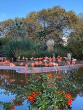 Beautiful photo, JPEG, virtual postcard