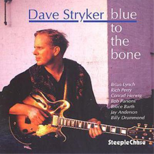 Dave Stryker Blue To The Bone (CD) Album