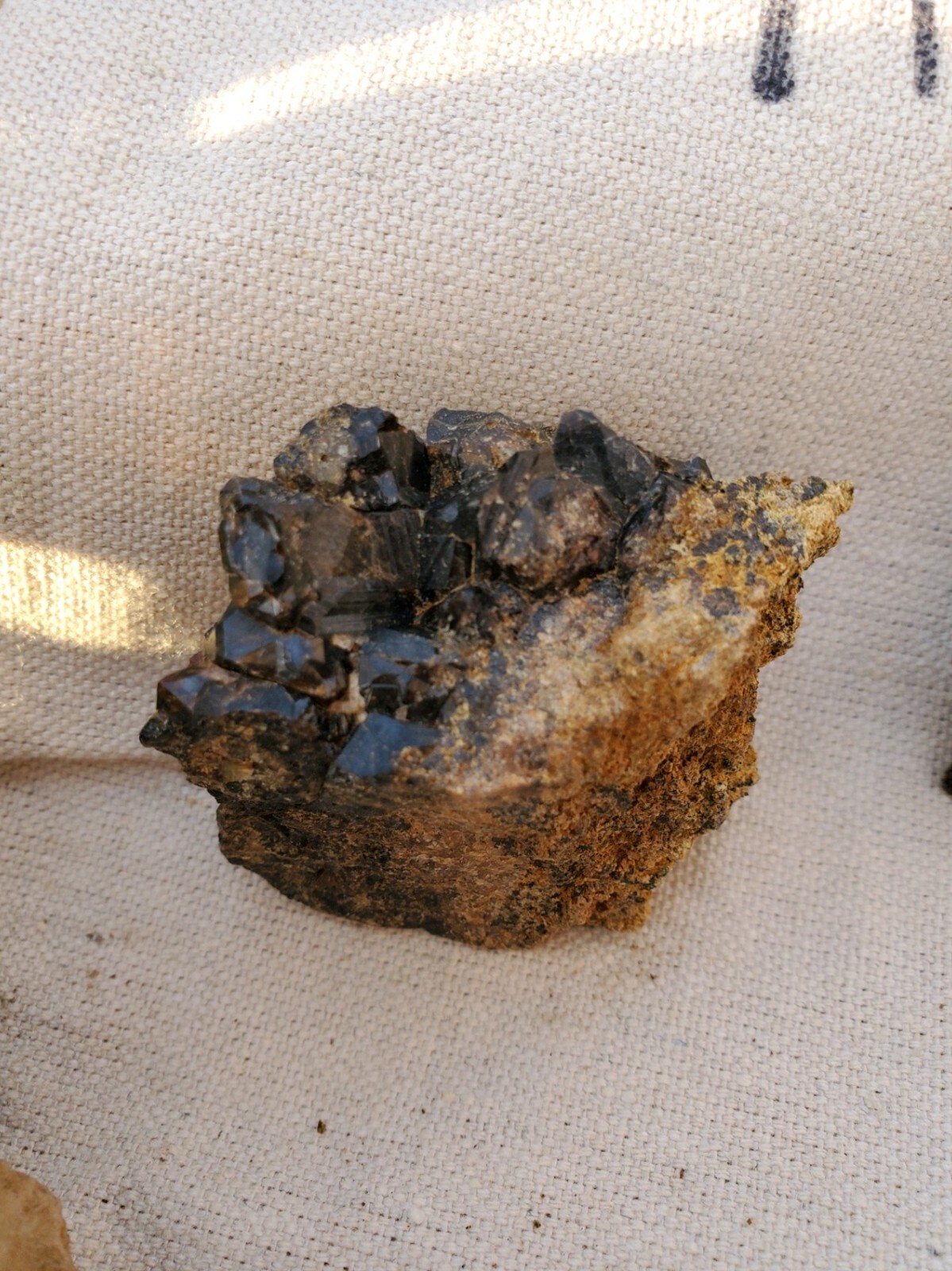 Steiner Mine near Lovelock Nevada Silver Gold Mining Claim with Big