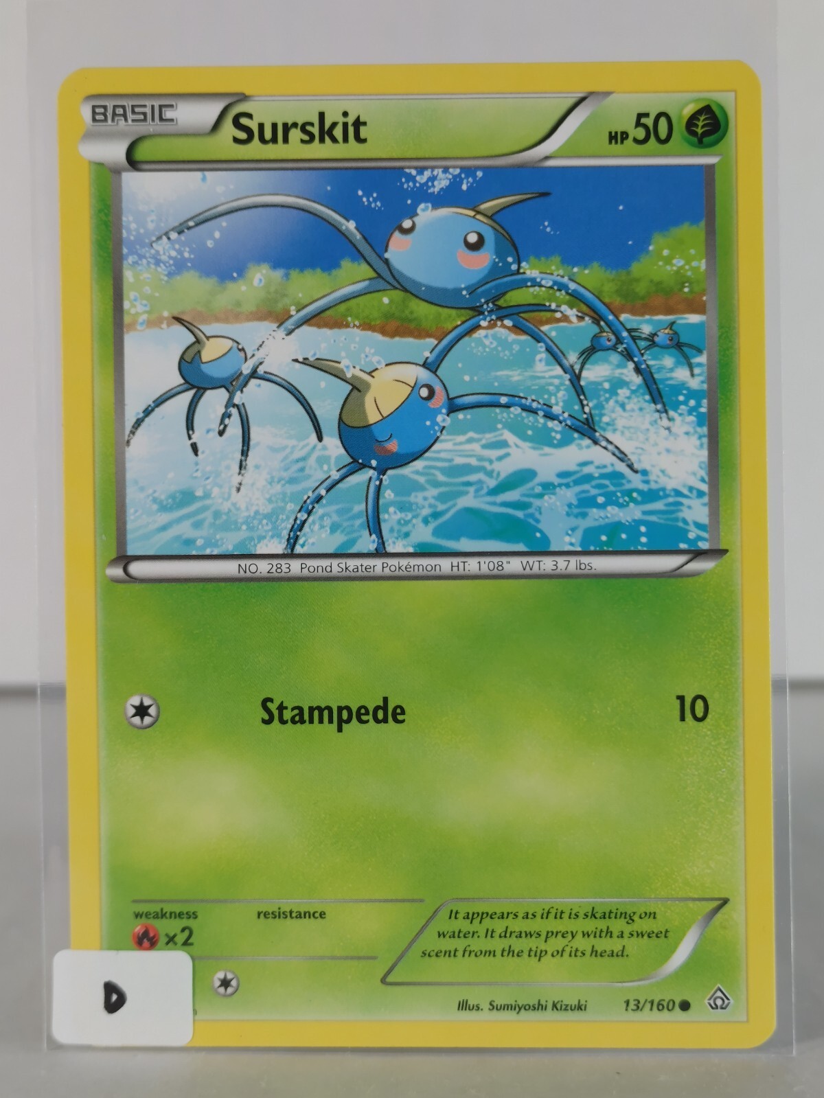 Surskit - XY Primal Clash - 13/160 - Pokemon TCG - Reverse holo/non - Common