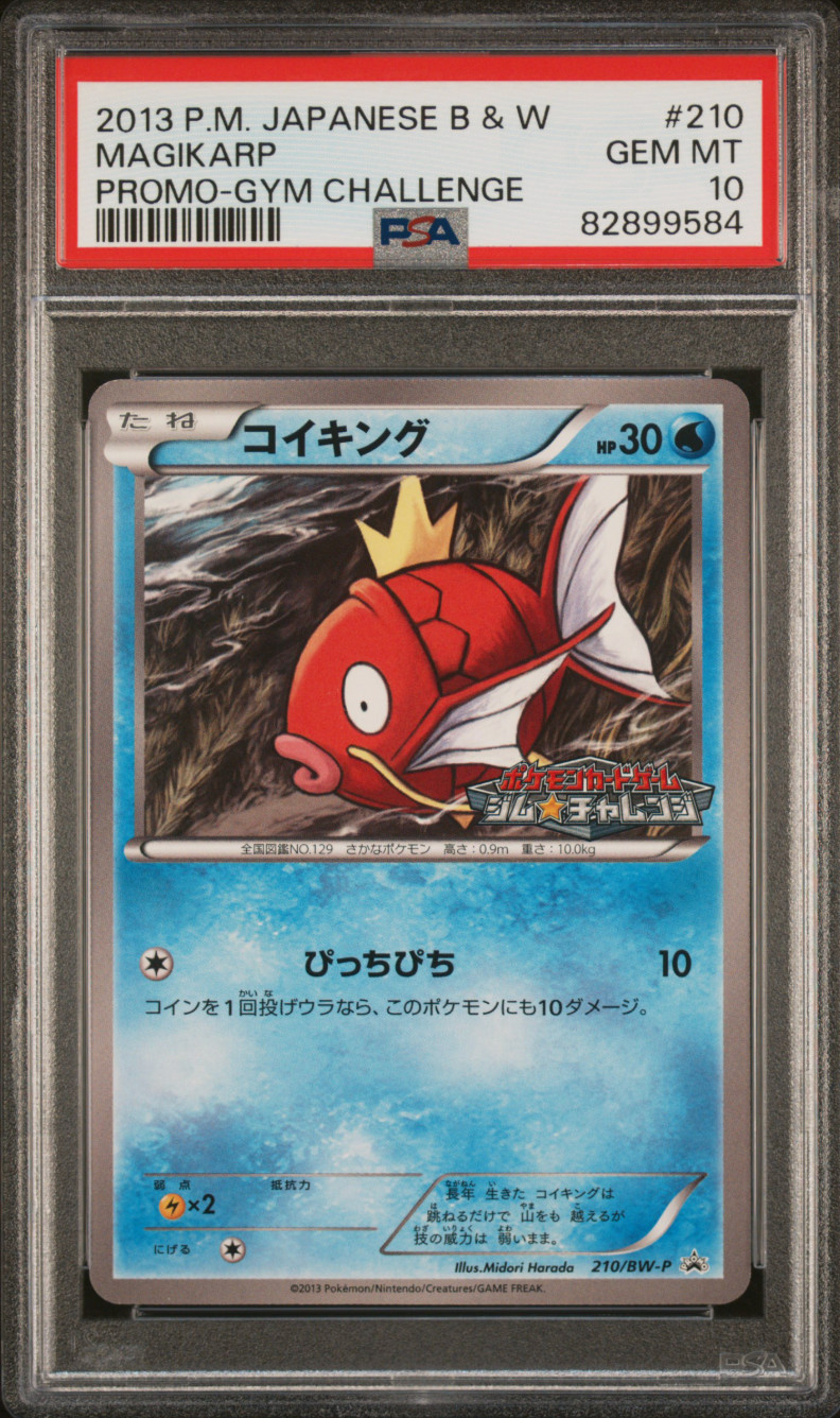 PSA 10 Magikarp 210/BW-P Promo Gym Challenge Japanese Pokemon Card 2013 - 584