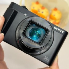 Sony Cyber-Shot DSC-HX90 18MP 30x Optical Zoom 4K 180  Flip EVF Digital Camera