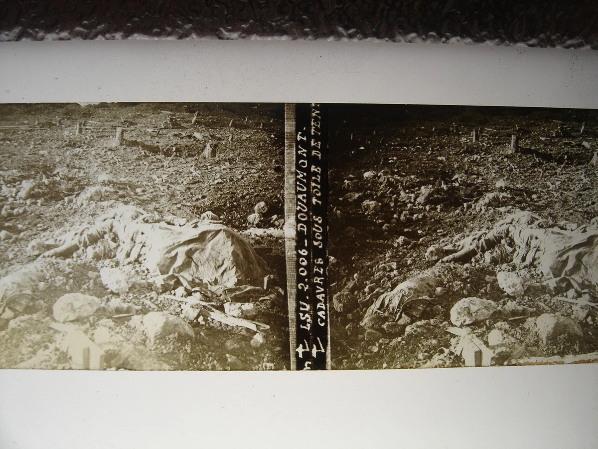 Photo Ancienne Plaque De Verre - Maurupt 14-18 - Positif N&B 8,5x10 Cm
