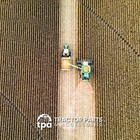Foto 5 di 12