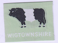 Boy Scout Badge ++Ext WIGTOWNSHIRE Scotland light green