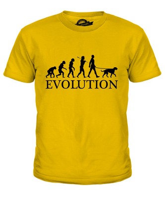 IRISCHER WOLFSHUND EVOLUTION DES MENSCHEN UND HUND KINDER T-SHIRT JUNGEN MÄDCHEN