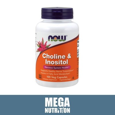 Choline & Inositol 500mg 100 Vege Capsules Brain Nutrients Energy Mood