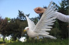 cute simulation white dove model foam furs wings bird doll gift about 30x45cm