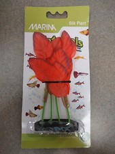Marina Red Silk Foreground Plant 5-6 inch