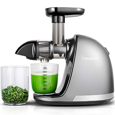 Entsafter Maschinen - Cold Press Slow Juicer - Kauen Entsafter für ganze