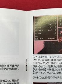 Game Express Body Conquest II Card Software for PC Engine