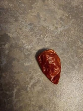 1 Dried Out YELLOW DATIL PEPPER With Seeds FL