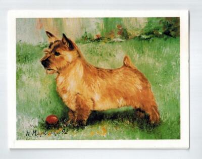 Norwich Terrier Profile Notecard Set - 6 Blank Note Cards Artist Ruth Maystead